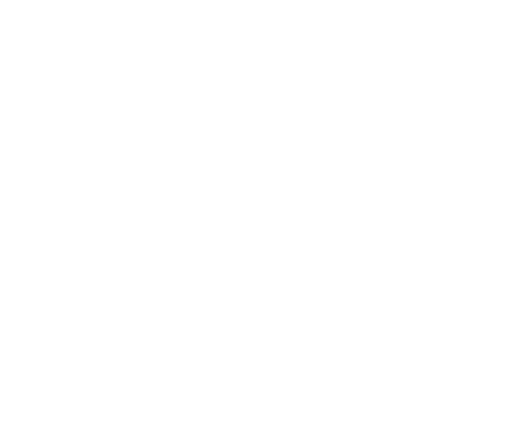 Niagara Falls Craft Distillers logo